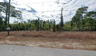 LEHIGH ACRES - Land