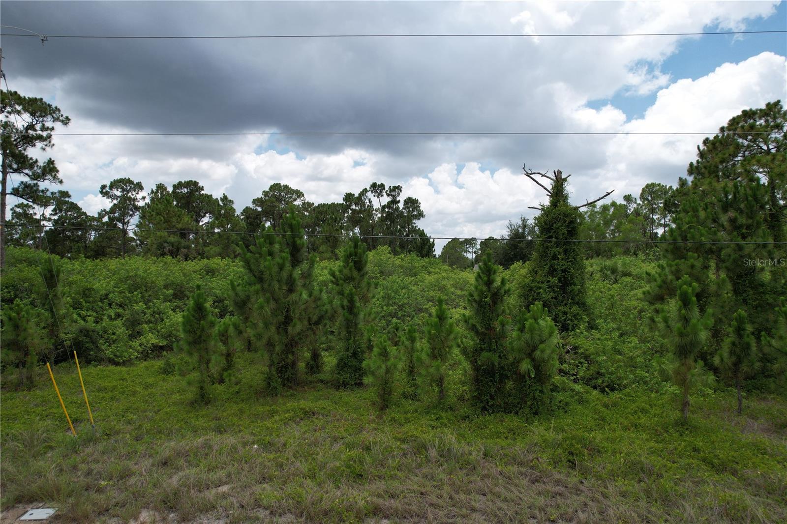 LEHIGH ACRES - Land