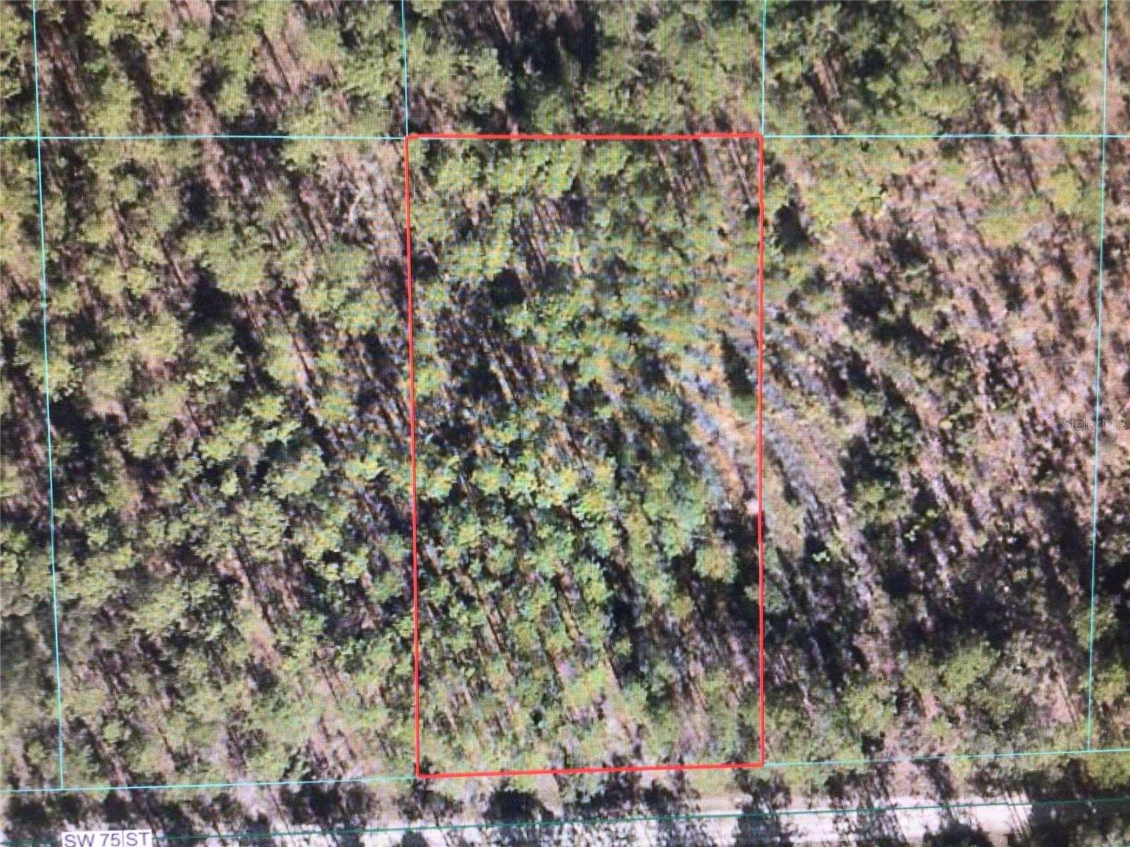 GREAT LOCATION, JUST OFF SW 129 STREET ROAD, LOCATED BETWEEN WORLD HORSE CENTER AND RAINBOW RIVER. NICE BIG LOT FOR YOUR OUTDOOR ACTIVITIES.