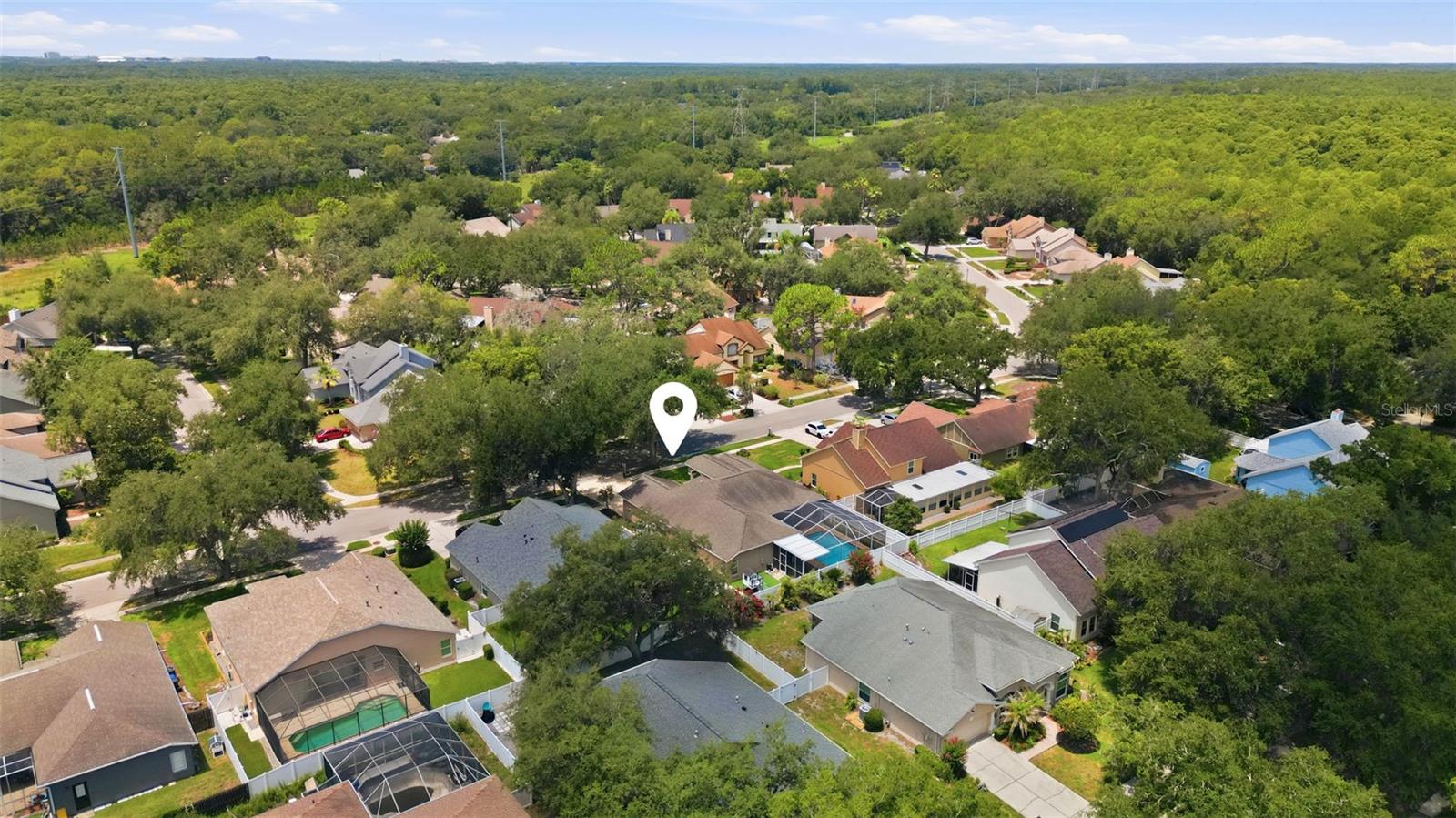 TAMPA PALMS 2C UNIT 2 - Residential