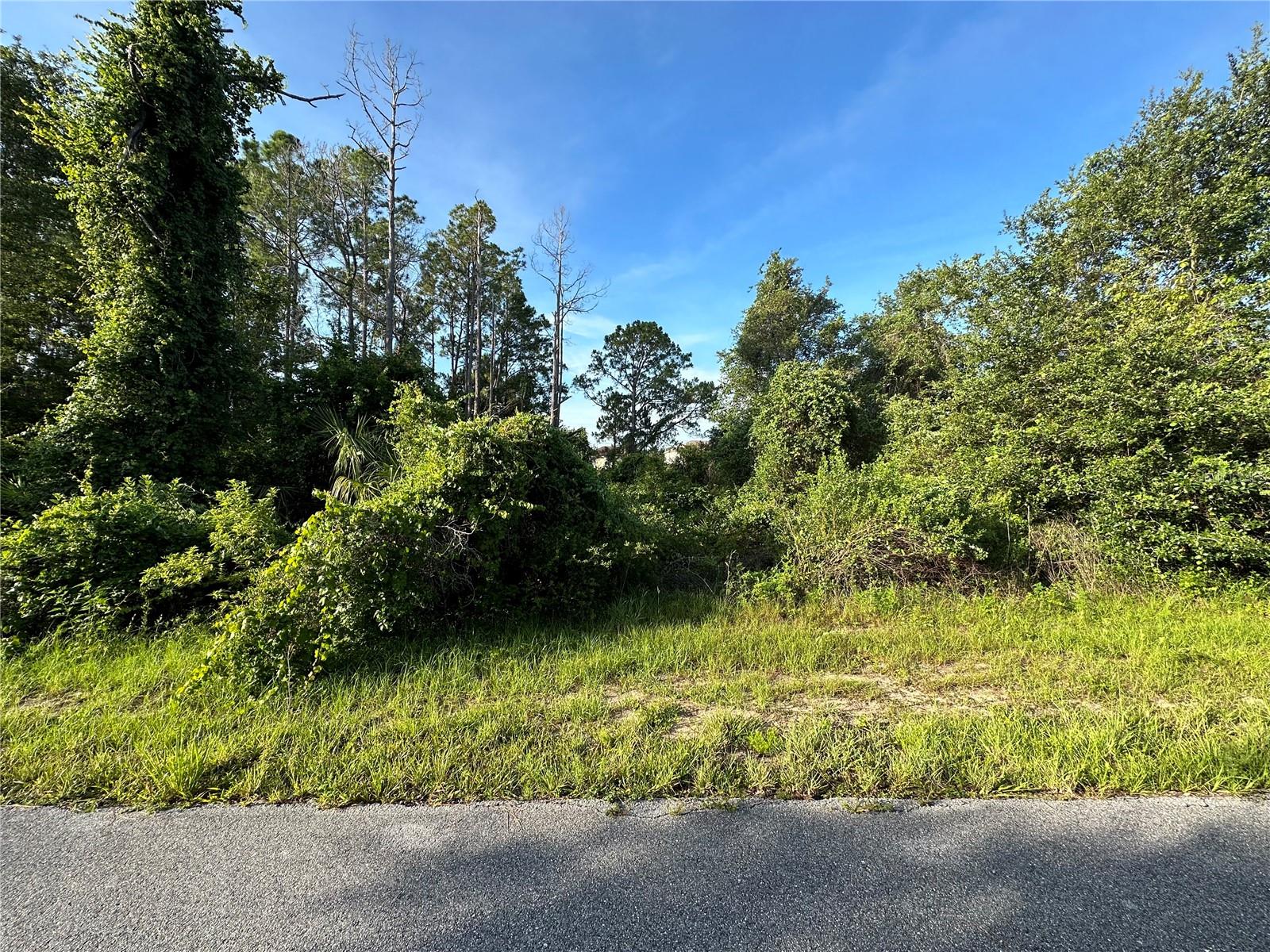 Build your future home on this residential lot located in Poinciana Villages, with convenient access to nearby schools, parks, and everyday amenities.Enjoy a growing community setting with easy connectivity to Kissimmee, and Central Florida attractions.