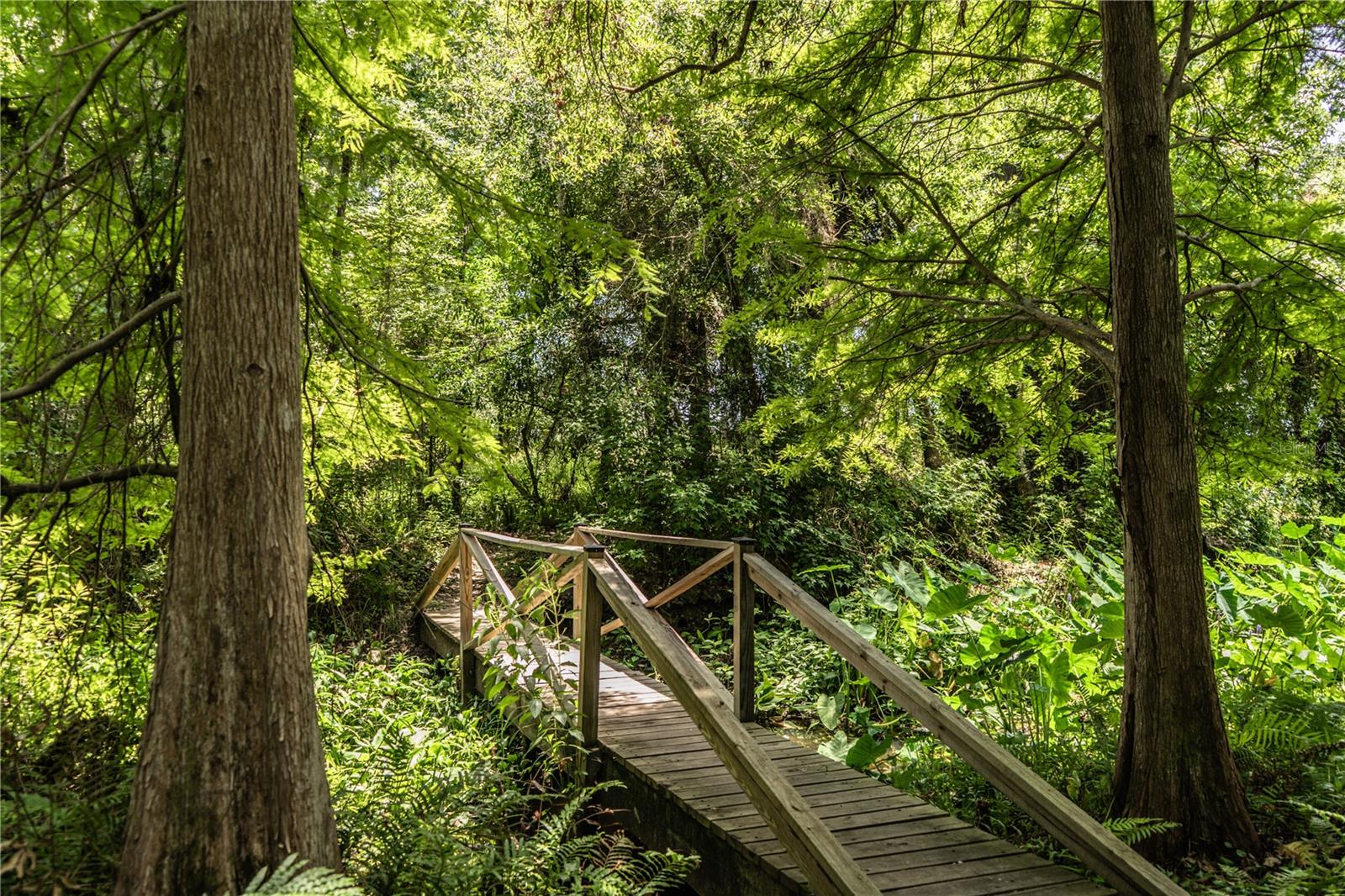 MILLBROOK OAKS - Residential