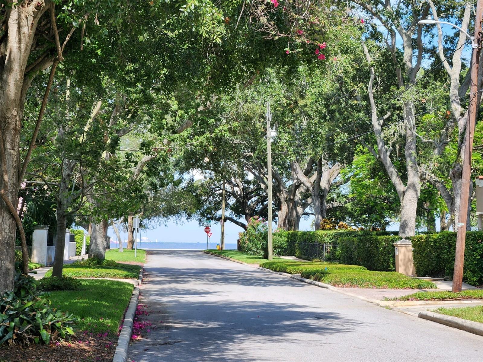 HARBOR VIEW - Residential