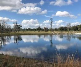 Country Living! Beautiful property with plenty of wildlife and seclusion. Great piece of property.; Cleared: Partial
