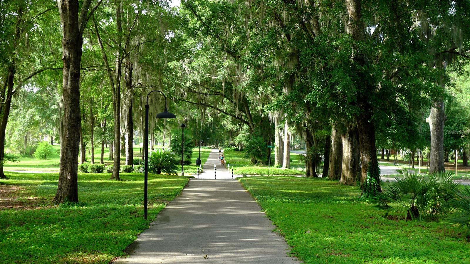 TOWN OF TIOGA - Residential