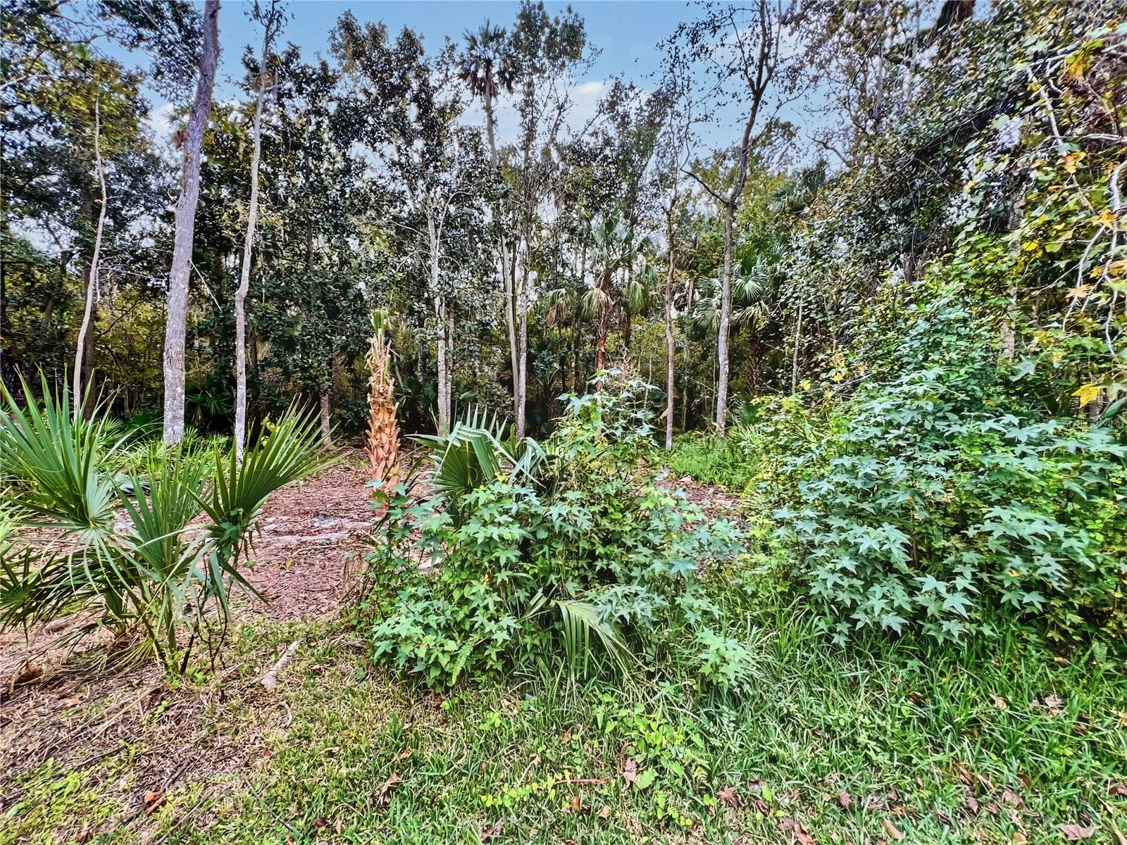 CELEBRATION LAKE EVALYN - Residential