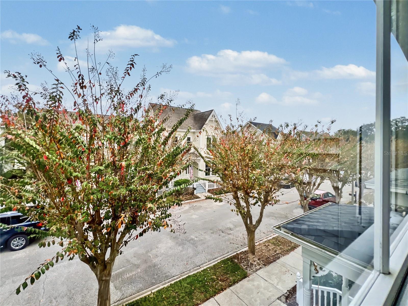 CELEBRATION LAKE EVALYN - Residential