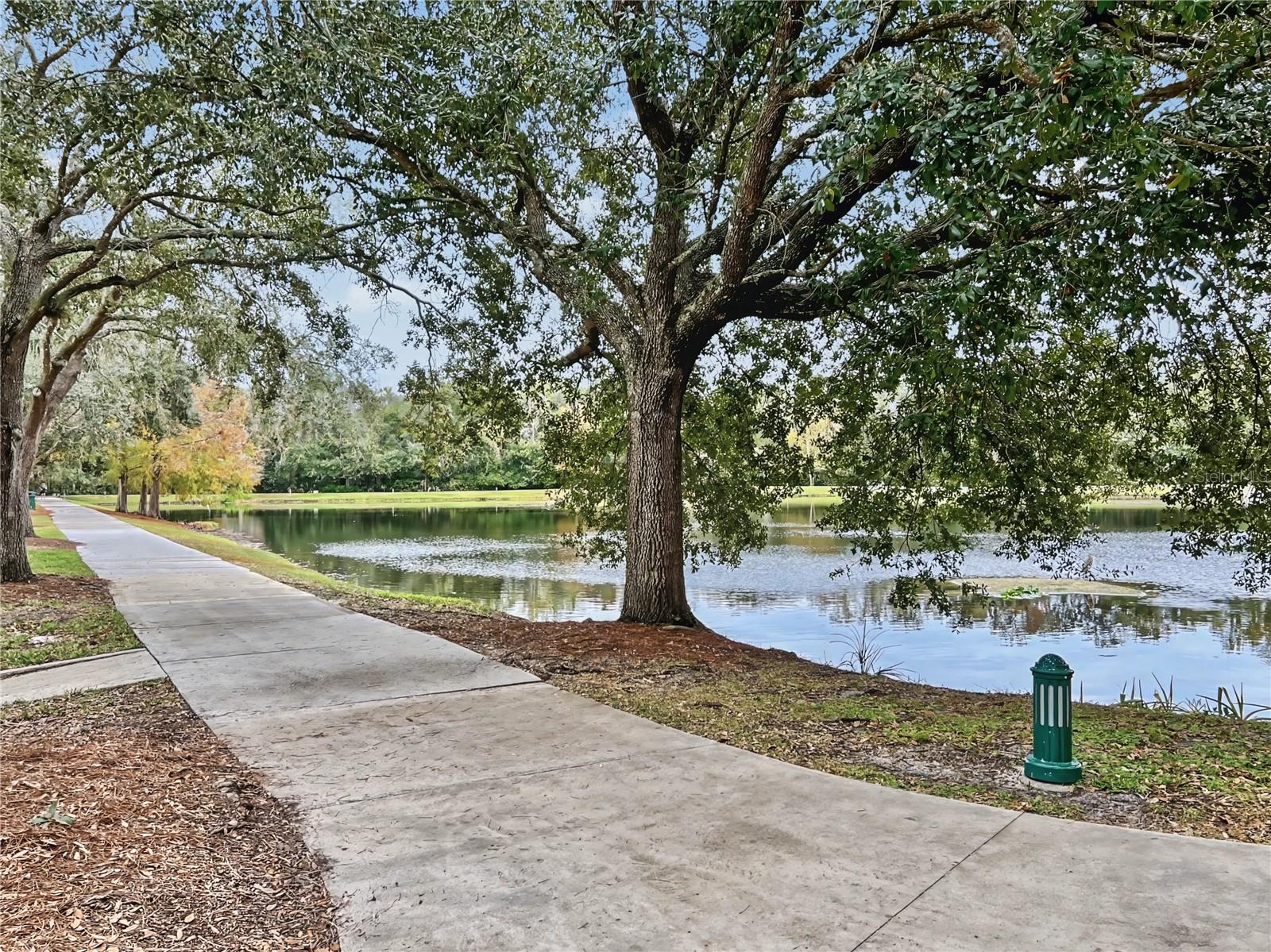 CELEBRATION LAKE EVALYN - Residential