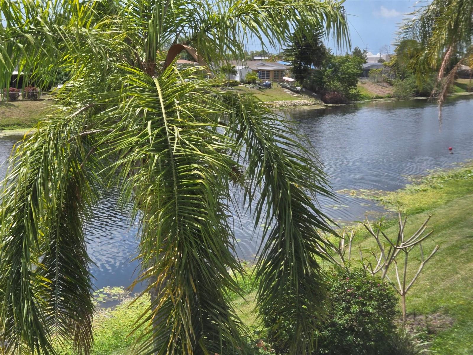 COCOPLUM - Residential