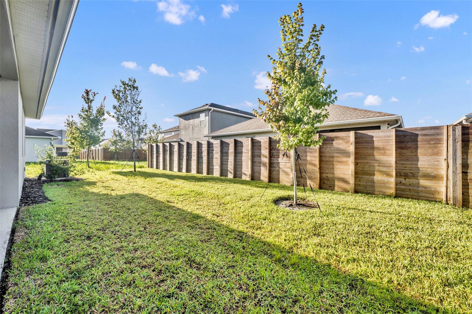 SUMMERDALE PARK AT LAKE NONA - Residential