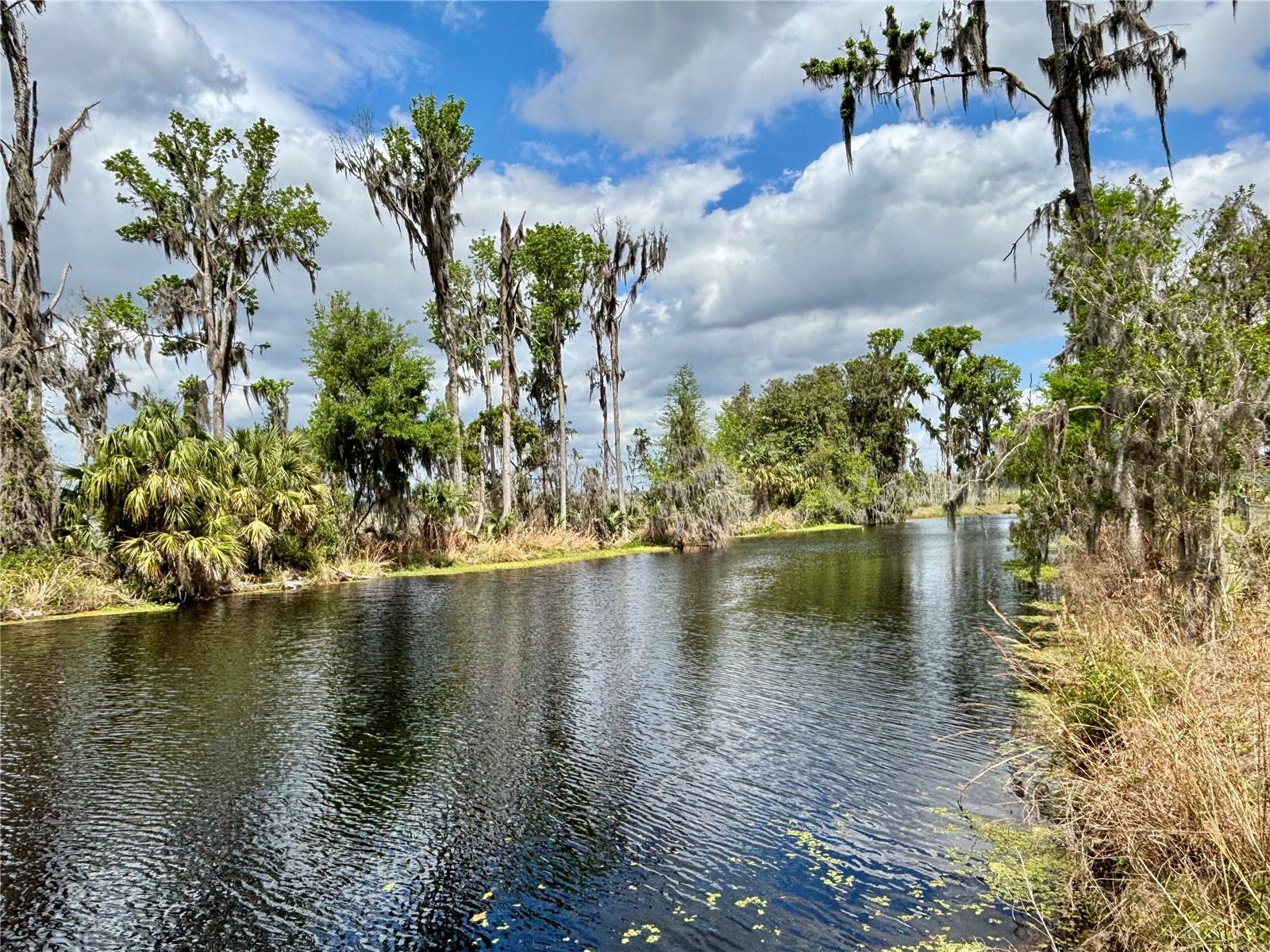 LITTLE ORANGE LAKE - Land