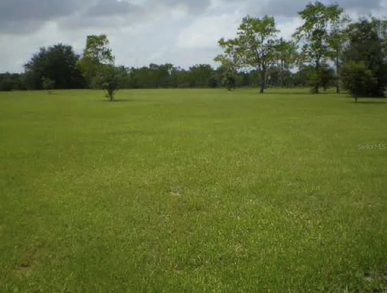 Welcome to 25429 Shetland Trail, a rare opportunity to own **10 beautiful acres** in the peaceful countryside of Sorrento. Offering privacy, natural beauty, and the freedom of country living with **no HOA**, this exceptional property is ideal for those seeking room to spread out while remaining conveniently close to modern amenities.

Situated at the **end of the road**, this unique property backs up to the prestigious **RedTail Golf Club** and the **Heathrow Country Estates Country Club**, providing a tranquil setting with the convenience of nearby golf and upscale amenities.

The property is adorned with magnificent **30- to 40-foot live oak trees**, creating a breathtaking natural canopy and a peaceful, park-like atmosphere. Whether you're relaxing outdoors, enjoying the abundant wildlife, or simply taking in the beauty of the landscape, you'll appreciate the serenity this property has to offer.

With an **Agricultural (AG) exemption**, this property provides incredible flexibility. **Horses and livestock are permitted**, making it an excellent choice for equestrian enthusiasts, hobby farmers, or anyone looking to embrace a rural lifestyle with plenty of room for animals, gardens, workshops, or additional outbuildings.

Inside, the home offers a thoughtfully designed floor plan with spacious living areas filled with natural light. The inviting layout is perfect for both everyday living and entertaining, while the well-appointed kitchen flows seamlessly into the main living spaces. The generously sized bedrooms provide comfort and privacy, and the primary suite offers a relaxing retreat after a long day.

Conveniently located near SR-46 and SR-429, this property provides easy access to shopping, dining, medical facilities, schools, and major employment centers throughout Central Florida. Residents are just a short drive from historic downtown Mount Dora, the Harris Chain of Lakes, and numerous outdoor recreation opportunities.

Nearby activities include boating, fishing, kayaking, and paddleboarding on the Harris Chain of Lakes, hiking and horseback riding through Seminole State Forest and the Wekiva River Basin, exploring the shops and restaurants of downtown Mount Dora, golfing at RedTail Golf Club, and enjoying Florida's natural springs and parks. Orlando, Sanford, and Central Florida's world-famous attractions are also within easy reach.

Whether you're searching for a private country estate, an equestrian property, or a peaceful retreat surrounded by nature, 25429 Shetland Trail offers an exceptional combination of acreage, natural beauty, agricultural flexibility, and an outstanding location. Don't miss this rare opportunity to own a truly special piece of Central Florida.