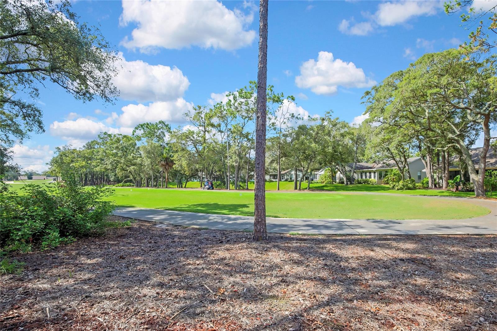 TIMBER PINES - Residential