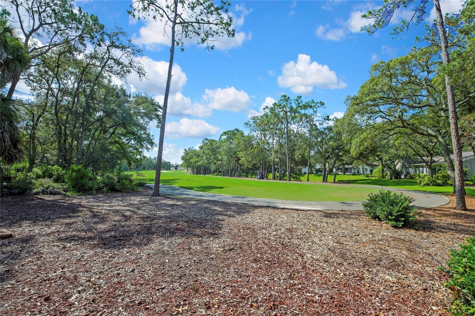 TIMBER PINES - Residential