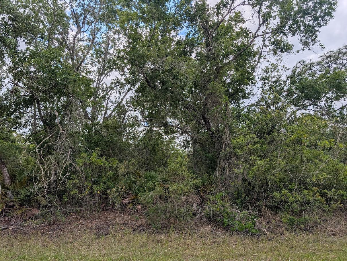 INDIAN LAKE ESTATES - Land
