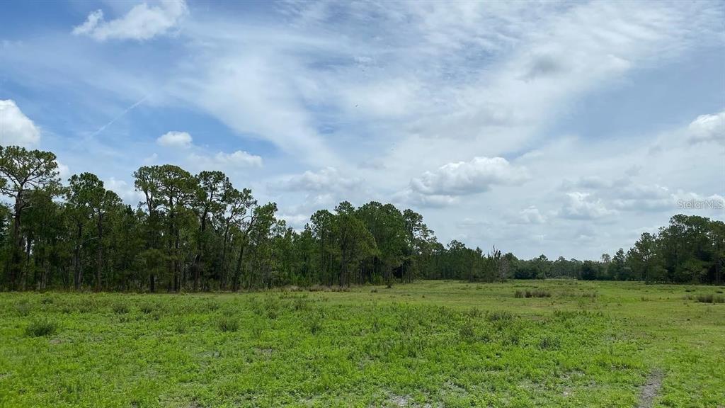 ACREAGE - Land