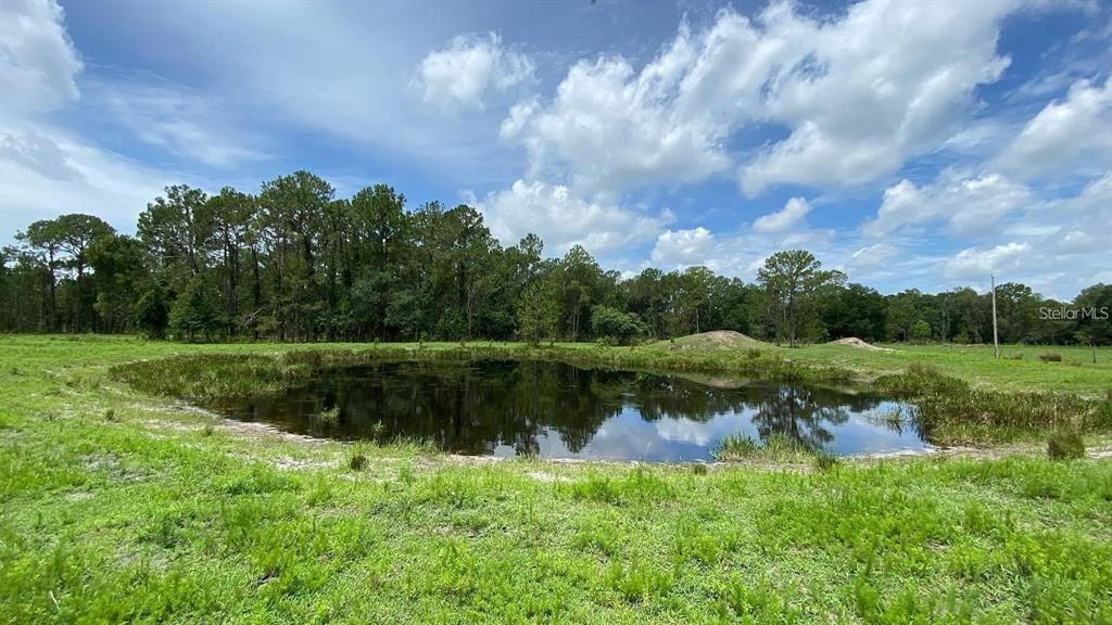 ACREAGE - Land
