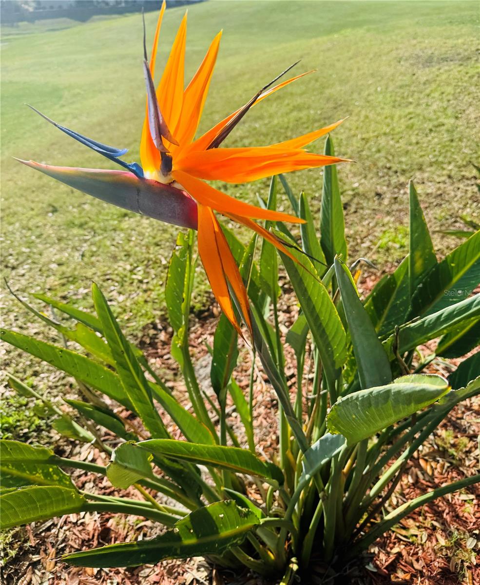DEER CREEK GOLF & TENNIS RV RESORT PH 03 - Land