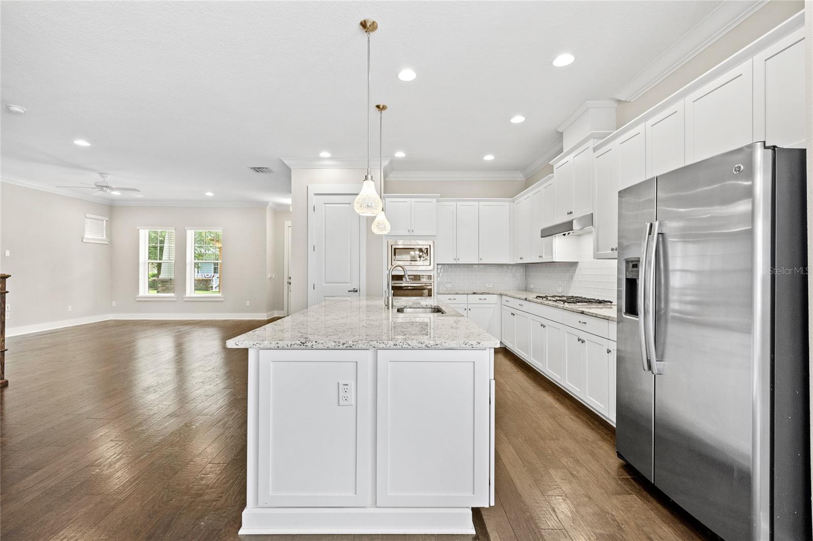 CELEBRATION SOUTH VILLAGE UNIT 4 REP 3 - Residential