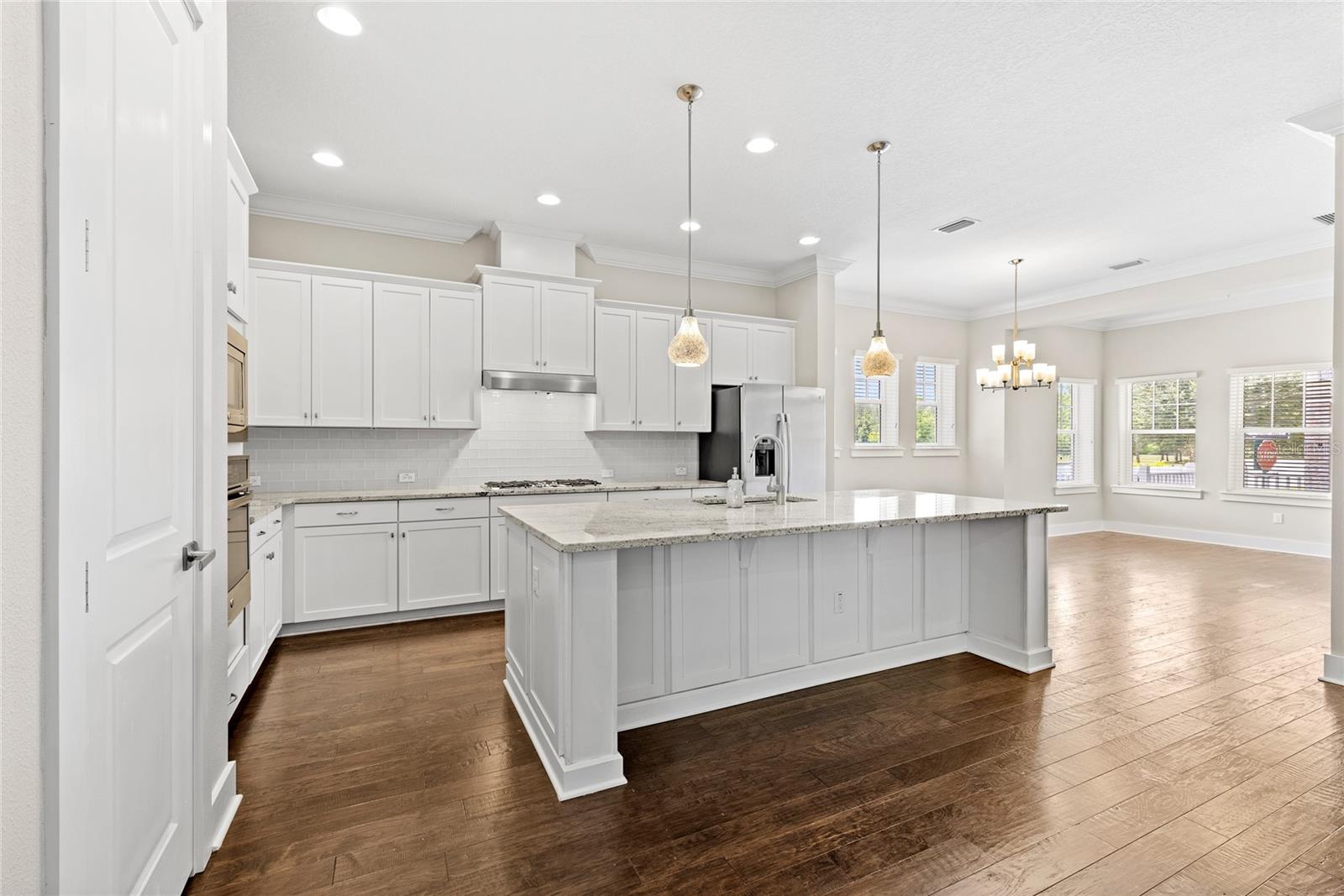 CELEBRATION SOUTH VILLAGE UNIT 4 REP 3 - Residential