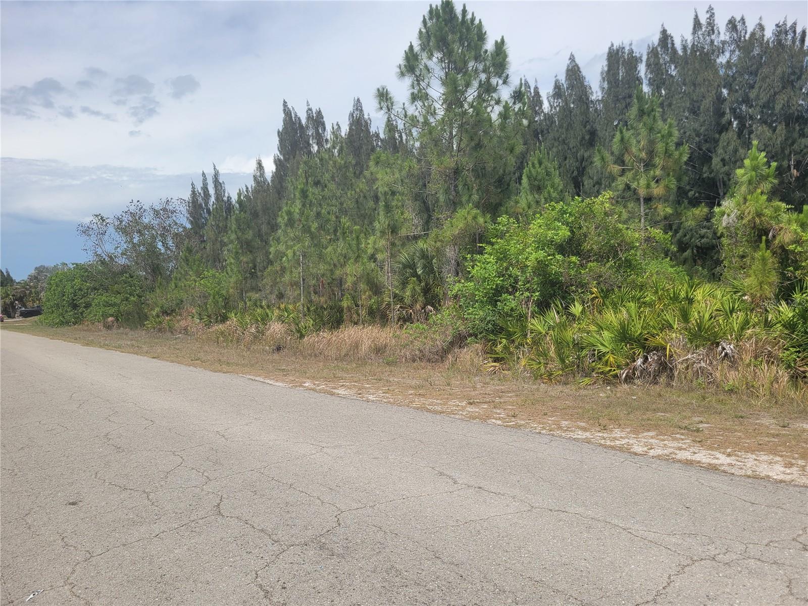 LEHIGH ACRES - Land