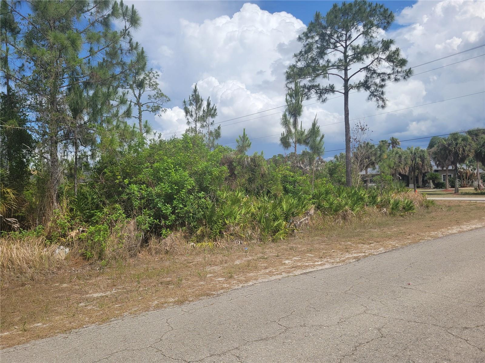 LEHIGH ACRES - Land