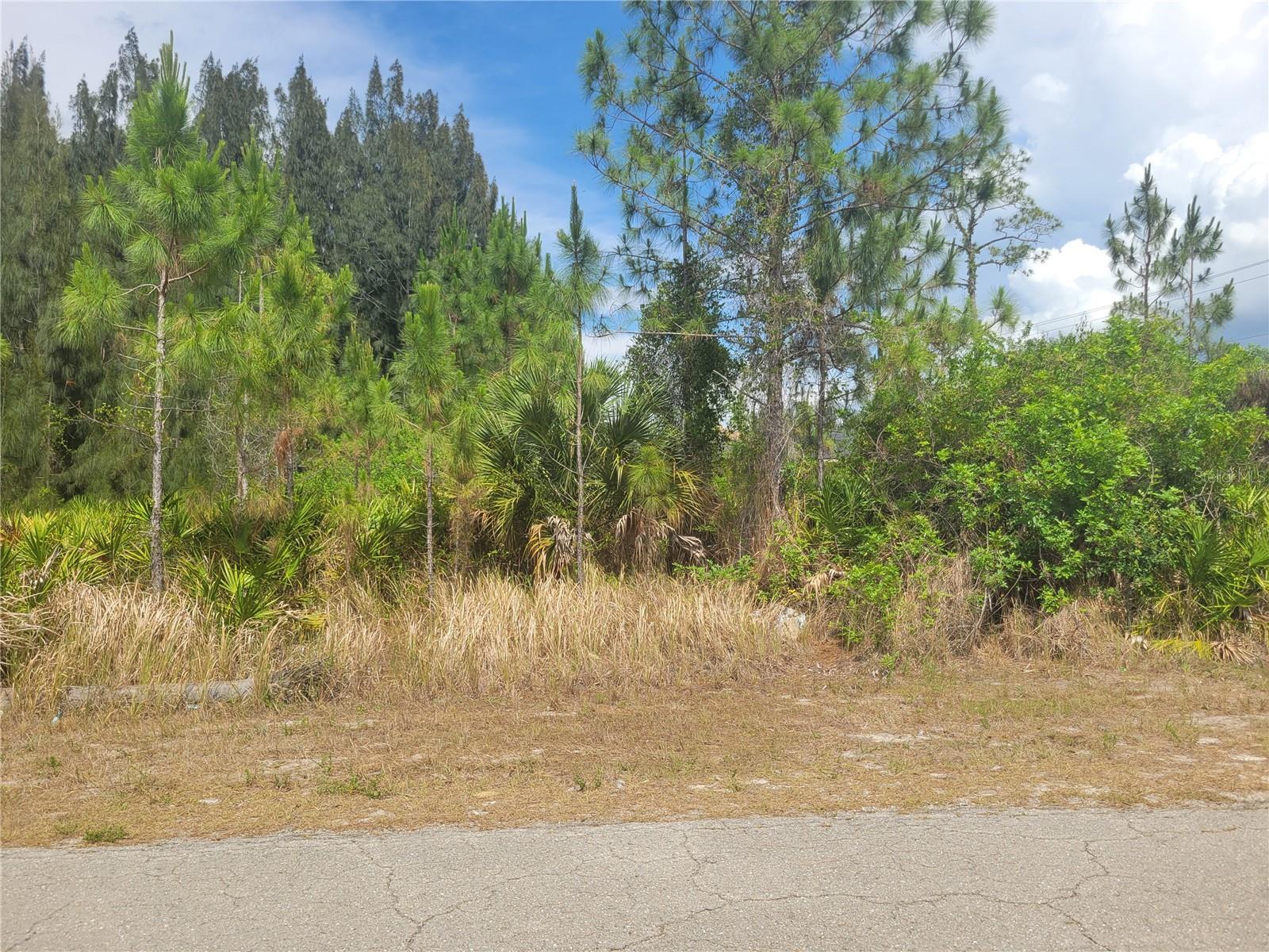 LEHIGH ACRES - Land