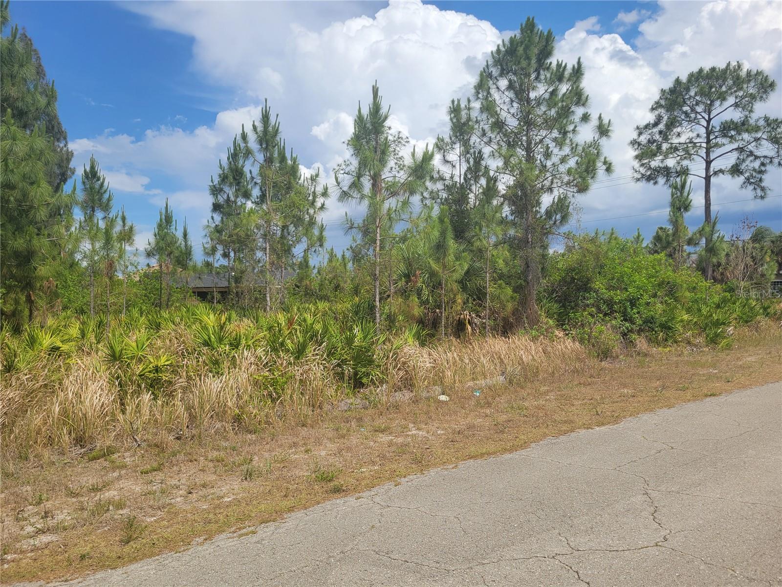 LEHIGH ACRES - Land