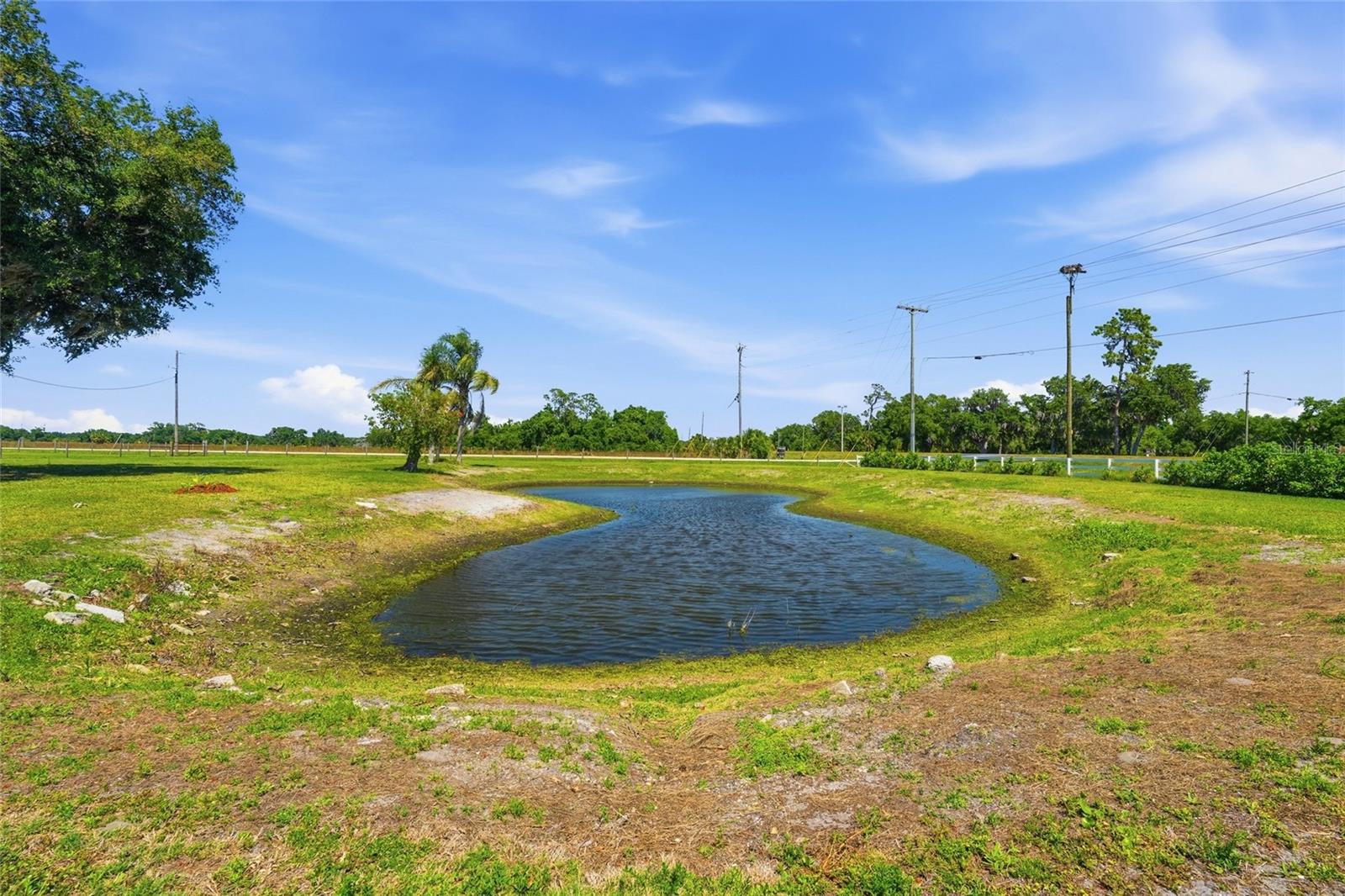 ACREAGE - Residential