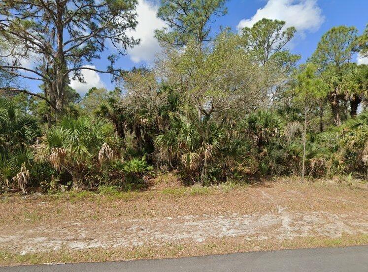 Introducing a prime opportunity to own an exceptional piece of land in a highly sought-after area, just waiting for your dream project! This property's convenient location ensures easy access to beaches, retail stores and restaurants. Whether you envision constructing a luxurious residential estate or creating a tranquil retreat, this land provides the ideal place to do it! Electricity is available in the neighborhood! The surrounding area showcases a flourishing real estate market, ensuring the potential for a profitable return on your investment. Contact us today to seize this opportunity!