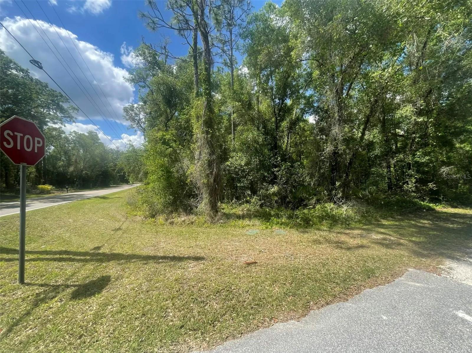 RIDGE MANOR ESTATE - Land