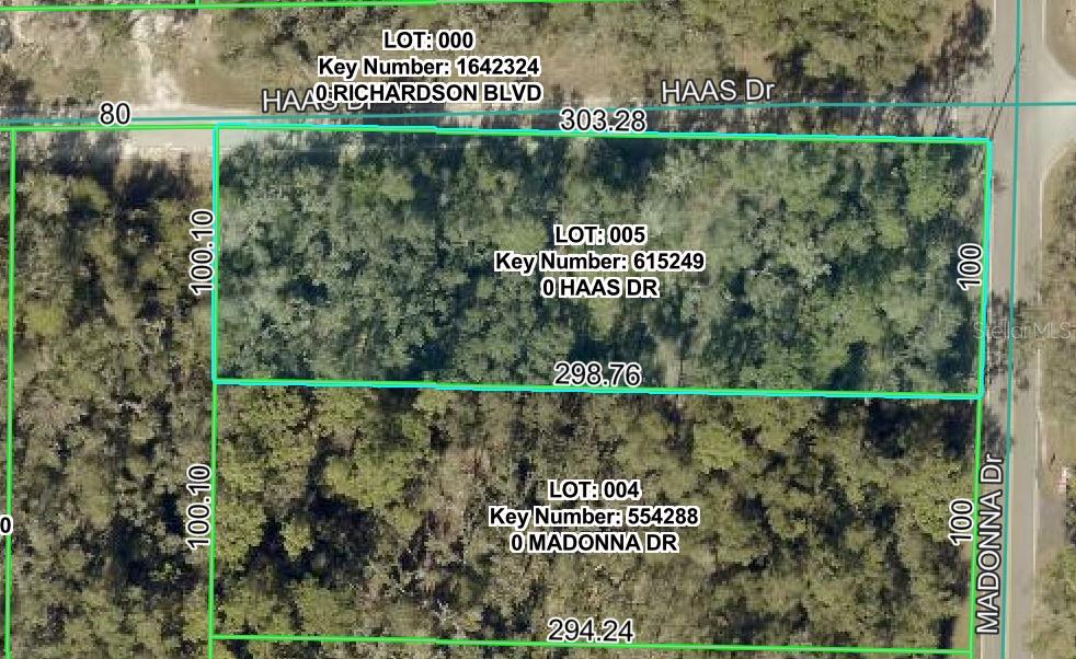 RIDGE MANOR ESTATE - Land