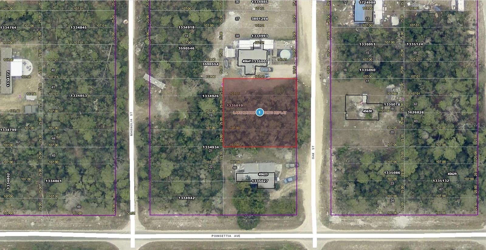 A VACANT LOT IN PAISLEY IN LAKE COUNTY!!!