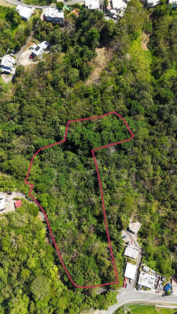 This expansive 2.45-acre (9,943.89 m²) lot in Barrio Cruces, Aguada, is a beautiful spot to build your dream home or a vacation getaway. This land is covered in lush green trees, offering plenty of privacy and a peaceful mountain feel. Located on Carr. 414 at KM 3.2, you get the quiet of the countryside while being only a short drive from the beach and local life. You are just minutes away from the calm waters of Pico de Piedra beach and about 10 minutes from the famous surfing and sunset spots in Rincón. This large property is ready for a low-density project that takes full advantage of Puerto Rico's western coast, including easy access to nearby restaurants in Aguada and the airport in Aguadilla.