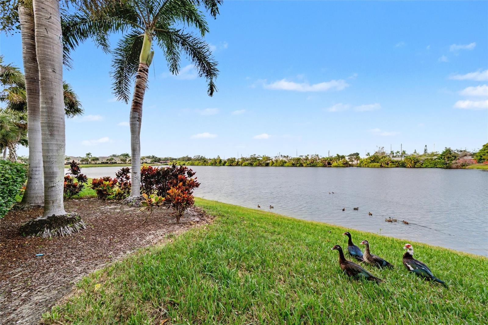 LAKESIDE VILLAGE TOWNHOME - Residential