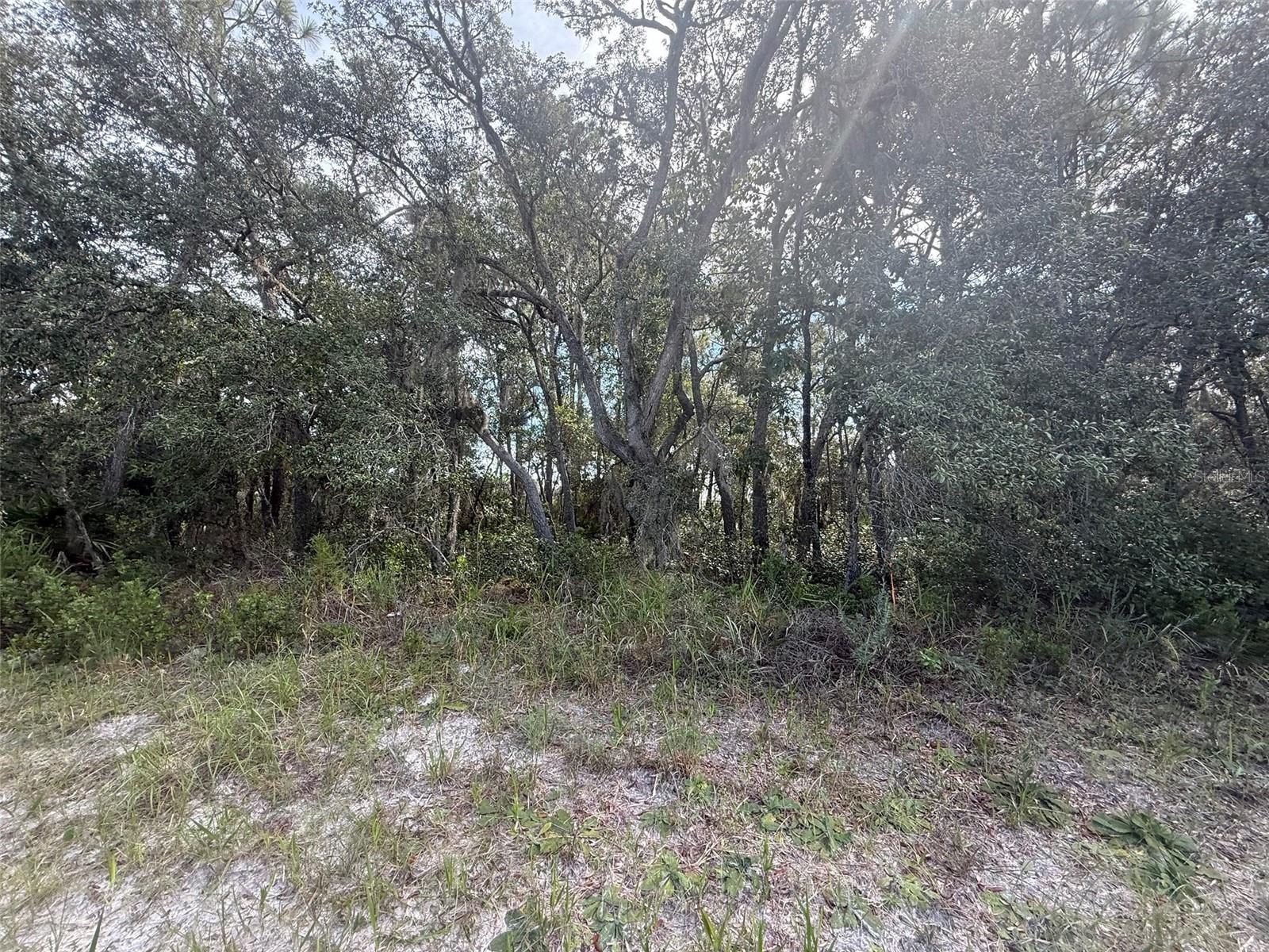 MARION OAKS RANCHES - Land