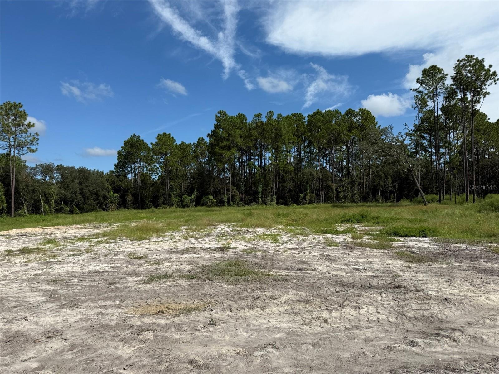 MARION OAKS RANCHES - Land