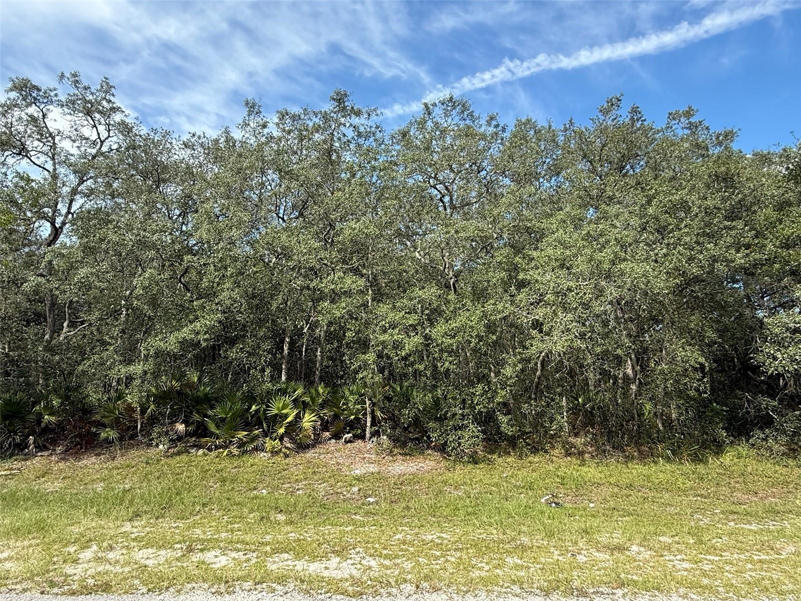 MARION OAKS RANCHES - Land