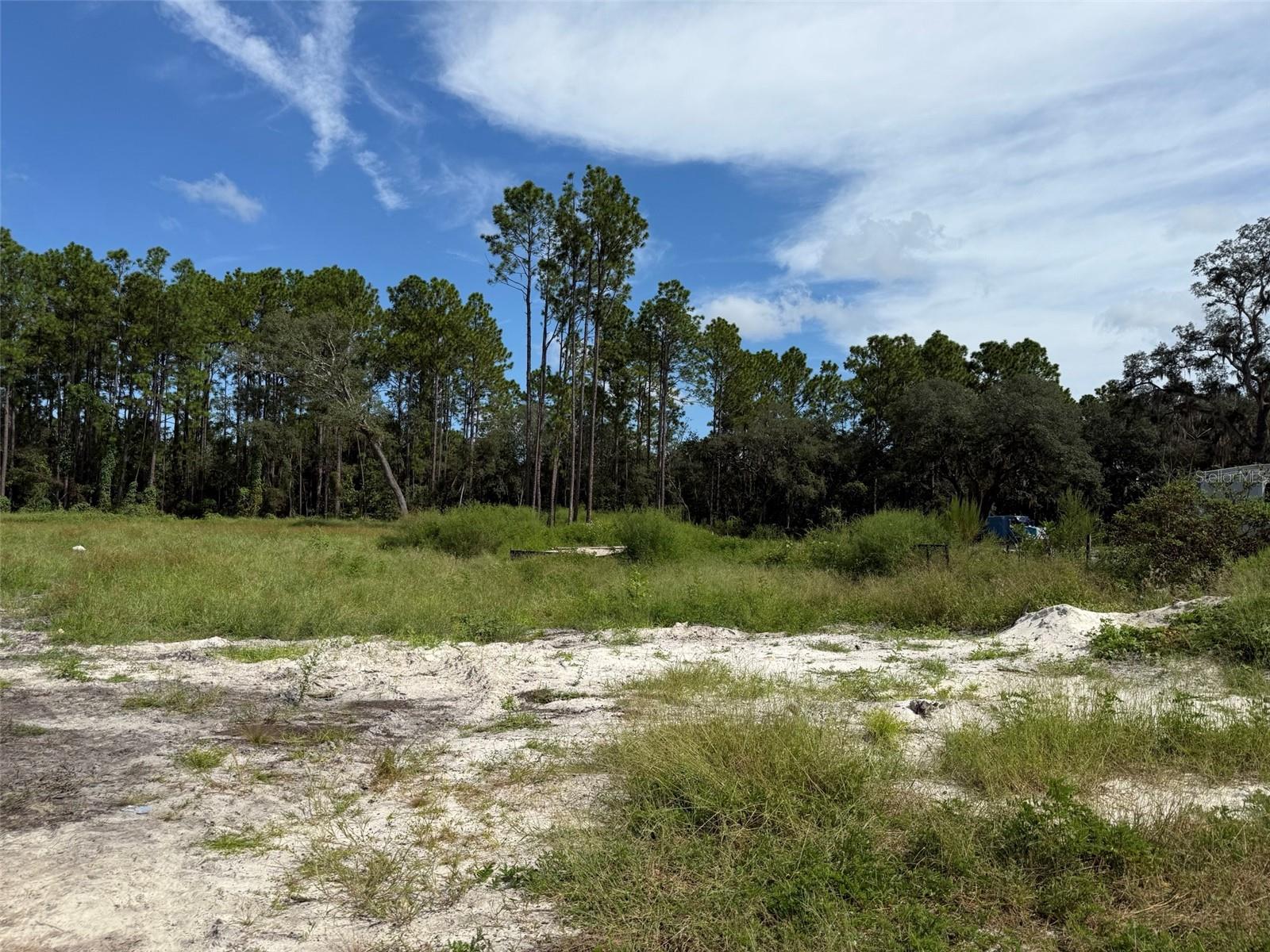 MARION OAKS RANCHES - Land