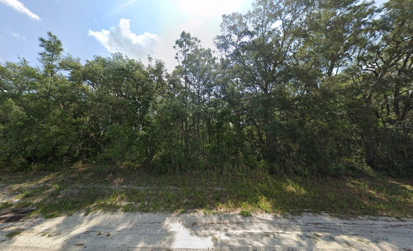 MARION OAKS RANCHES - Land