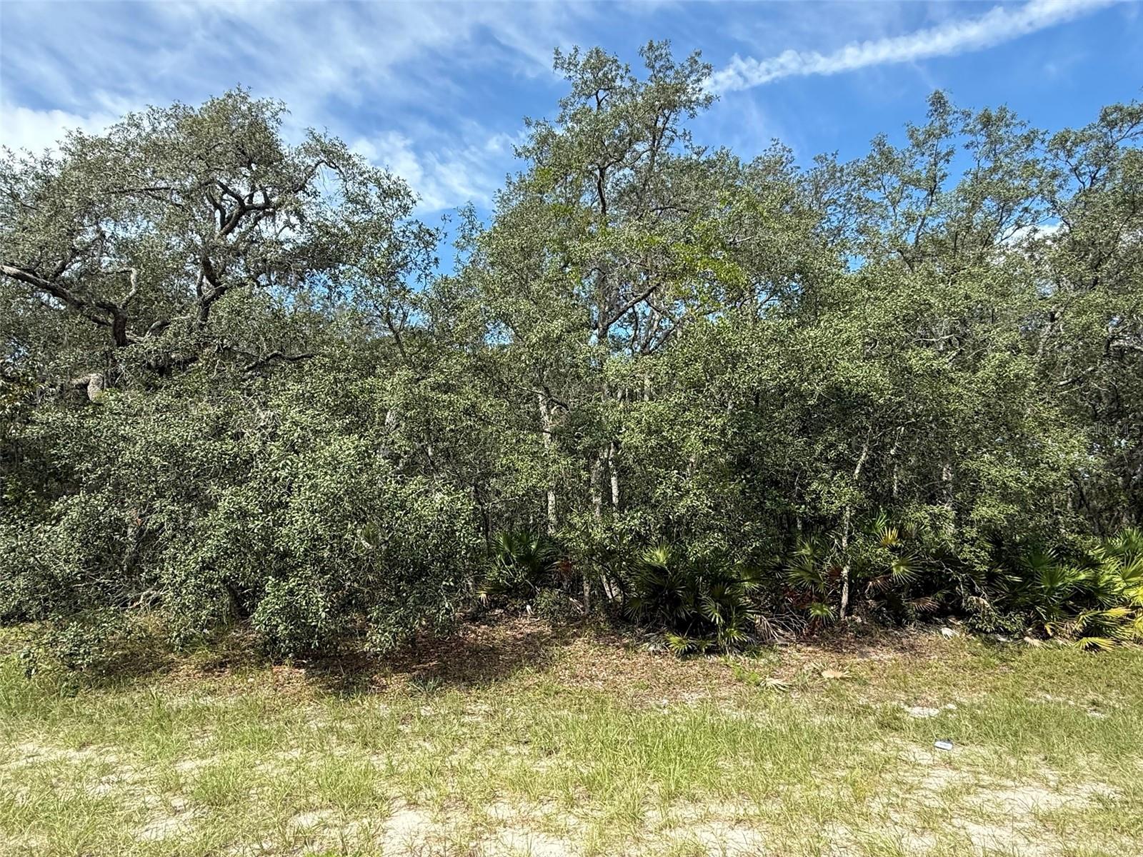 MARION OAKS RANCHES - Land