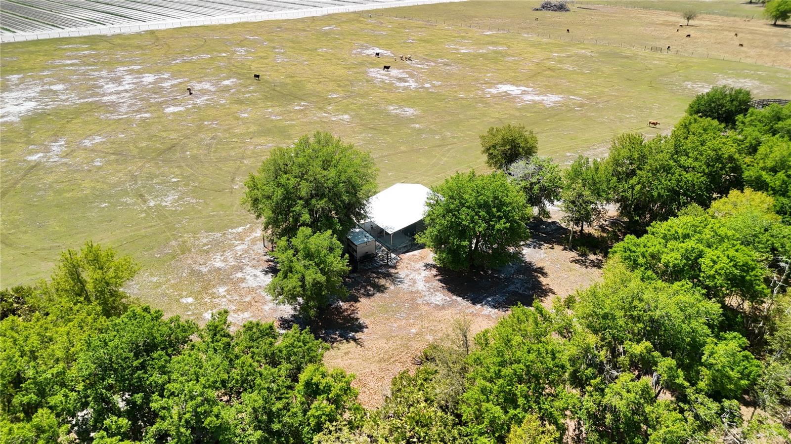 LEGACY RANCH - Land