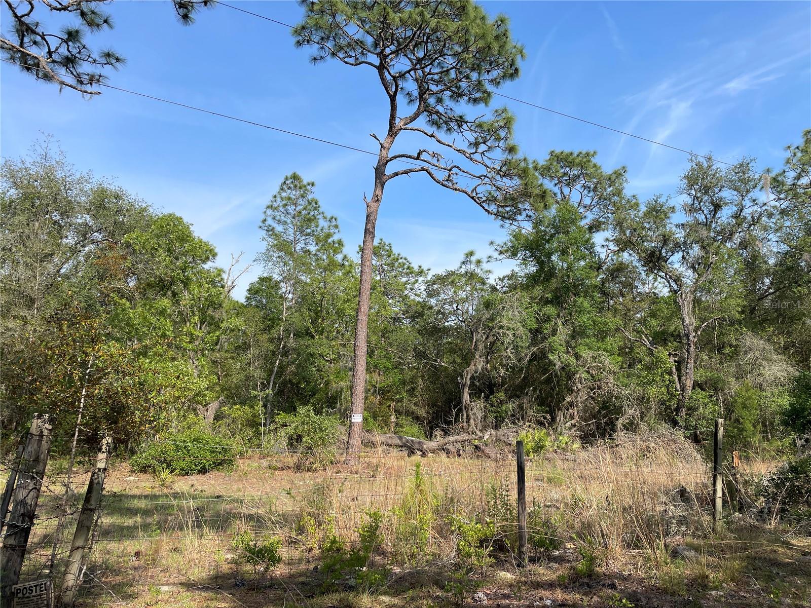 Spectacular property! Approx 30 acres, fenced and gated, 2 spring feed ponds (1 pond has a small island). Enjoy watching the turkey and deer roam through your property, bring your horses and farm animals. Plenty of room for your toys, garages, workshops and of course your new home. No Deed Restrictions and manufactured homes allowed. State forest situated across the road from you with no hunting allowed on State property. Only 1 mile from a public boat ramp on the Beautiful Withlacoochee River to enjoy boating, fishing and kayaking. Only a short distance from Ocala and Dunnellon loaded with restaurants, shops, and medical facilities.