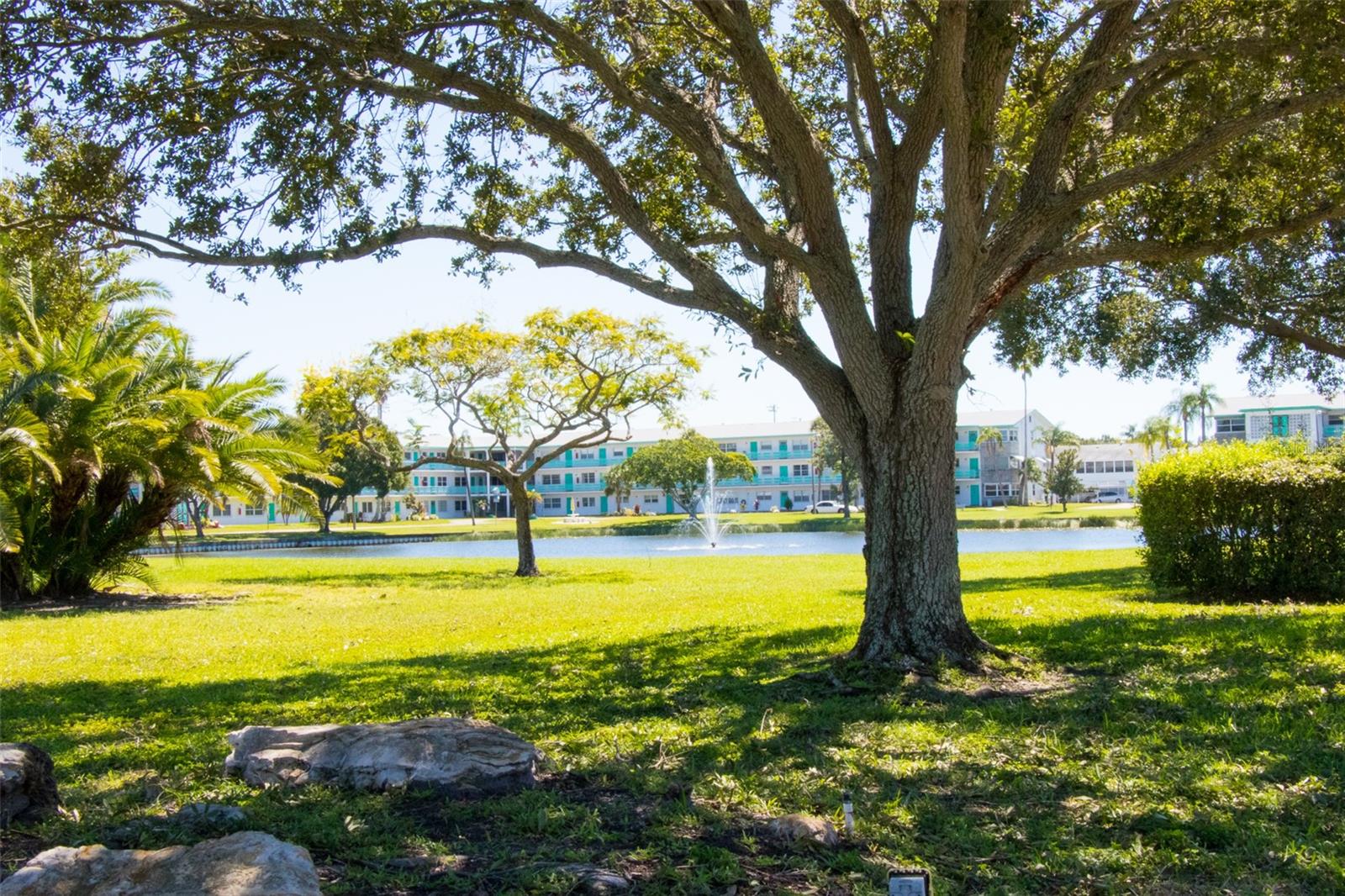 TOWN APTS CONDO - Residential