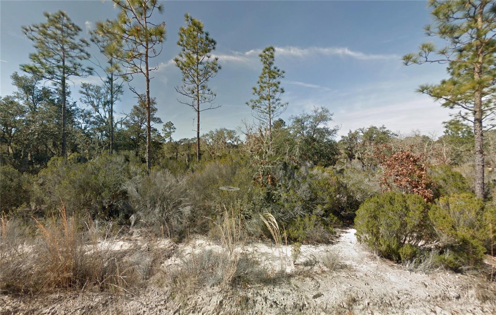 1.25 Acres in Bronson, FL | Owner Financing Available | Build or Mobile Home Allowed | Affordable 1.25-acre residential lot in Bronson with R-1 zoning—build a site-built, modular, or mobile home. Owner financing available with easy terms, making this a great opportunity if you’re looking to buy land without going through a bank. Property will need well and septic. Power is available at the road nearby. Quiet rural setting with plenty of space to build, place a mobile home, or hold as an investment.