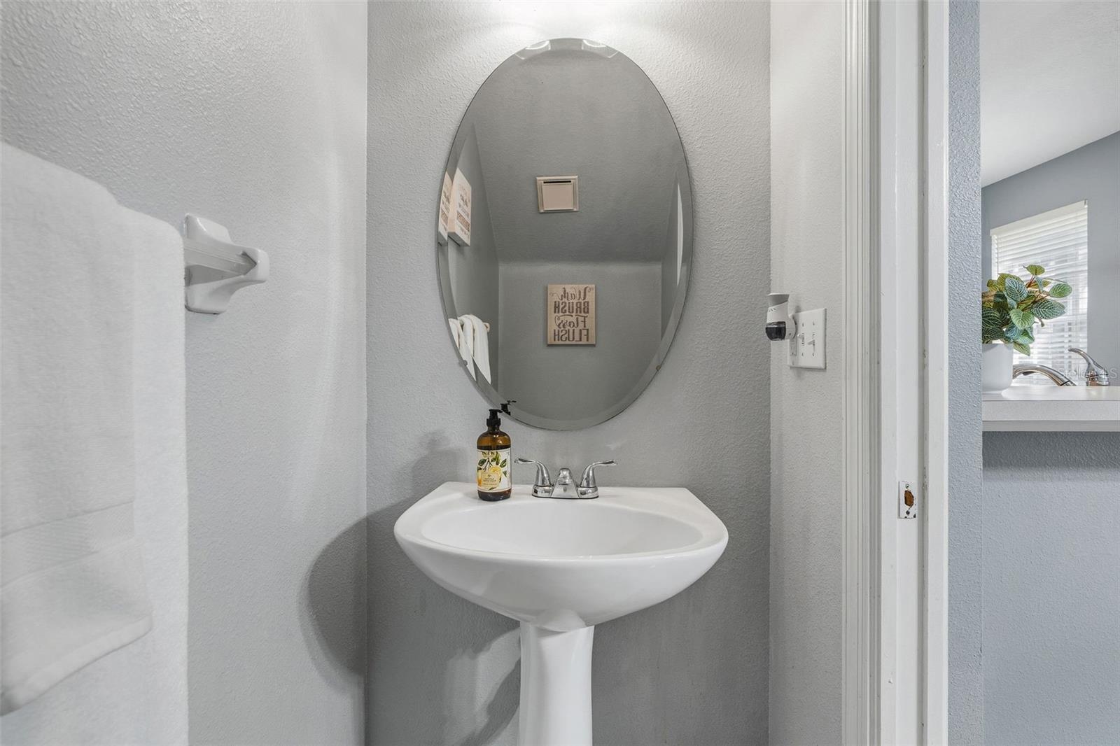 WINDSOR PLACE AT CITRUS PARK P - Residential