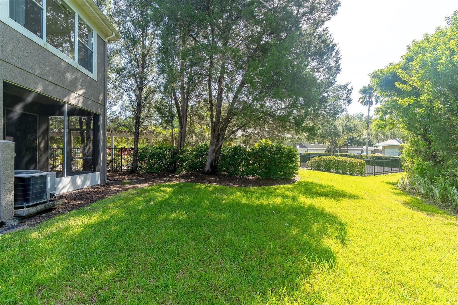 WINDSOR PLACE AT CITRUS PARK P - Residential