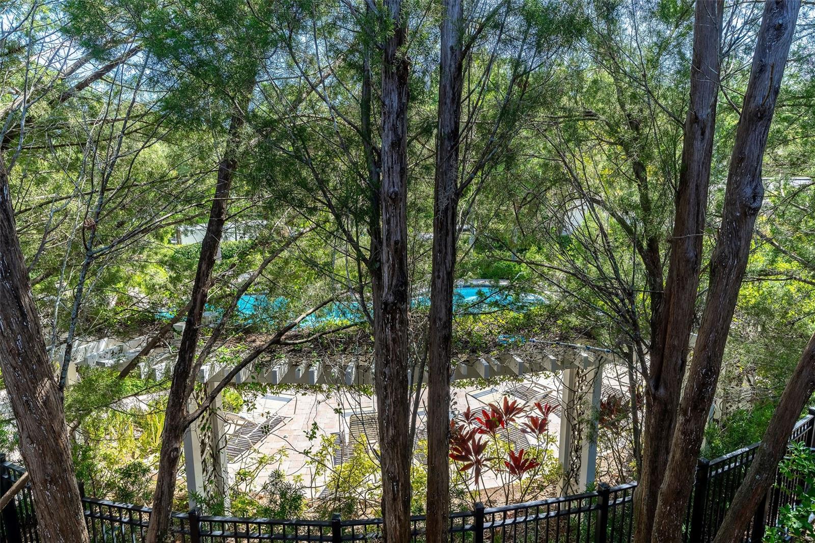 WINDSOR PLACE AT CITRUS PARK P - Residential
