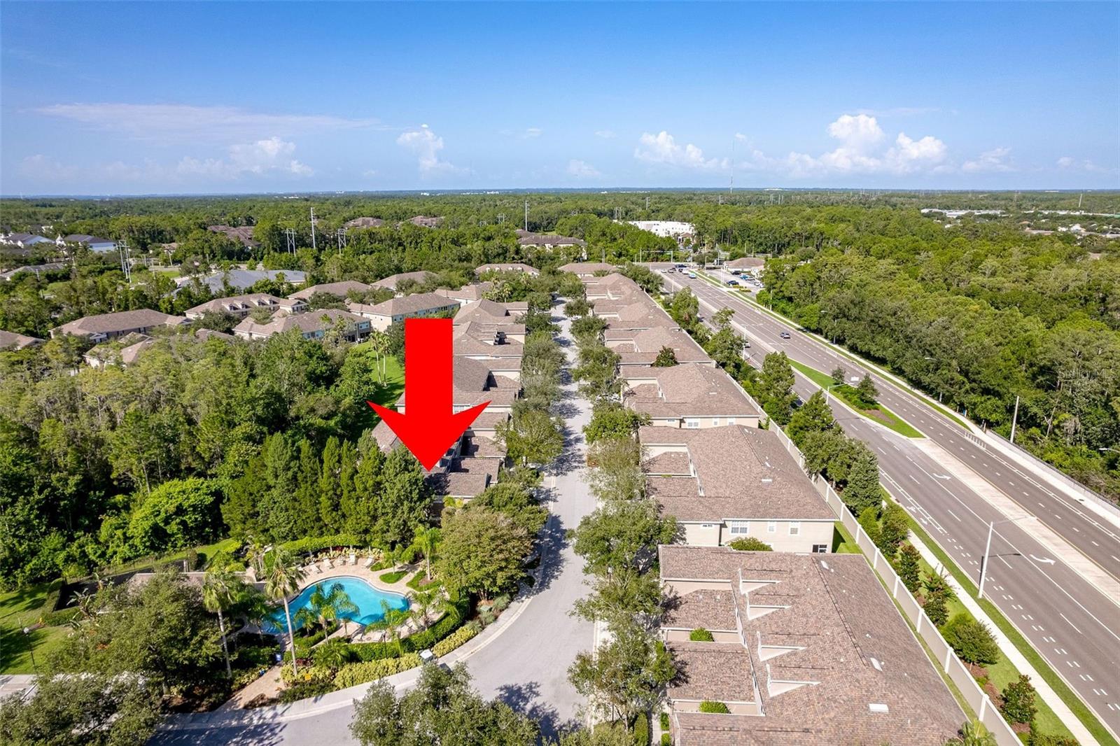 WINDSOR PLACE AT CITRUS PARK P - Residential