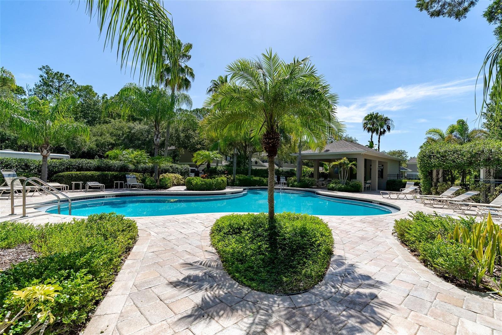 WINDSOR PLACE AT CITRUS PARK P - Residential